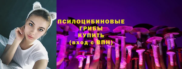 СК Нефтекумск
