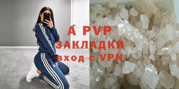 ГАЛЛЮЦИНОГЕННЫЕ ГРИБЫ Пересвет