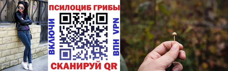 Псилоцибиновые грибы Psilocybine cubensis  Нариманов 